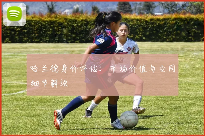 哈兰德身价评估:市场价值与合同细节解读